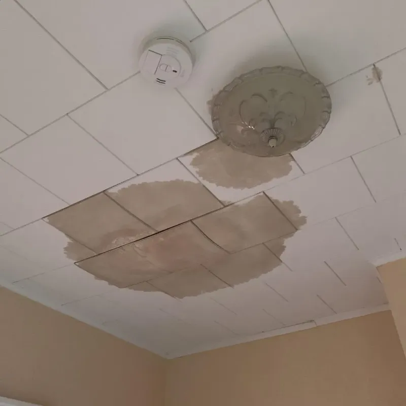 Ceiling Water Damage Repair in De Soto County, MS