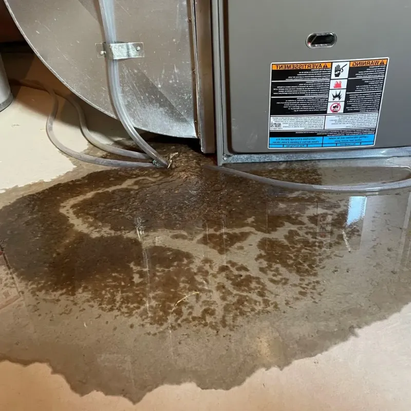 Pipe Burst and Leak Restoration in De Soto County, MS