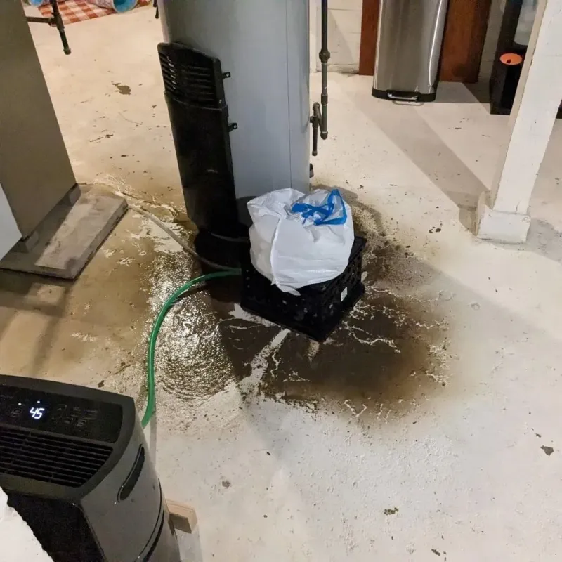 Sewage Backup Cleanup Service in De Soto County, MS